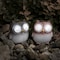 Nature Spring Set of 2 Owl Statue Yard Decor, Solar Outdoor LED Light, Battery Operated Statue for Garden, Patio 113499LQB - alternate 2